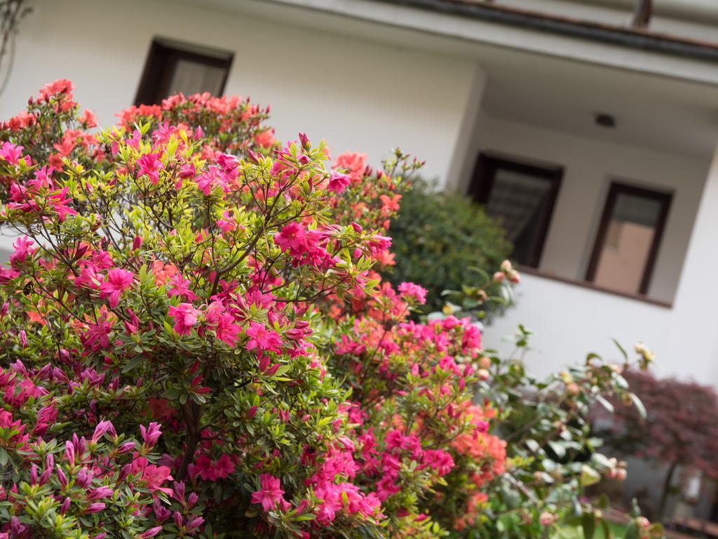Casa Vacanze Boario Boario Terme Buitenkant foto